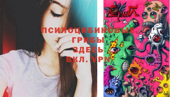 МДПВ Абинск