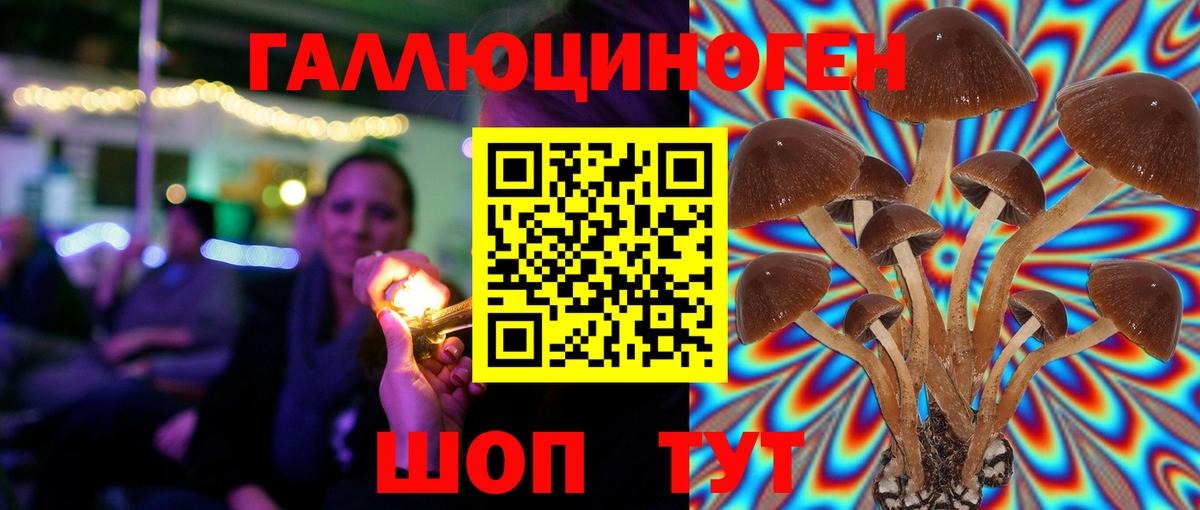 Галлюциногенные грибы Magic Shrooms  Вход с VPN  Дальнереченск  Псилоцибиновые грибы GOLDEN TEACHER 